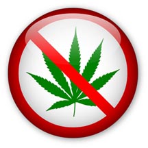 detoxweed