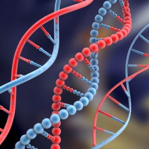 DNA STRAND INFORMATION