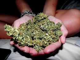 weed_1