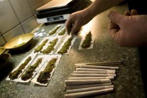 Rolling Weed the Dutch Way