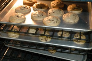 oven